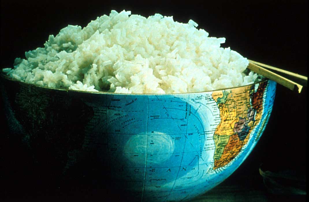 Rice world-bowl