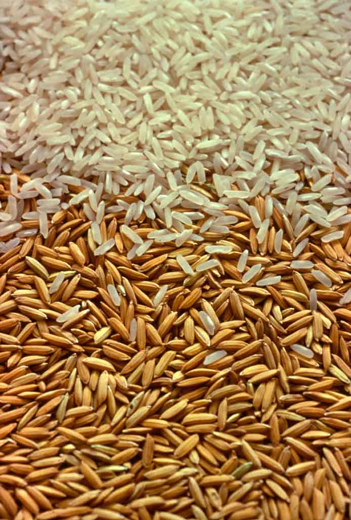 Milled and paddy rice